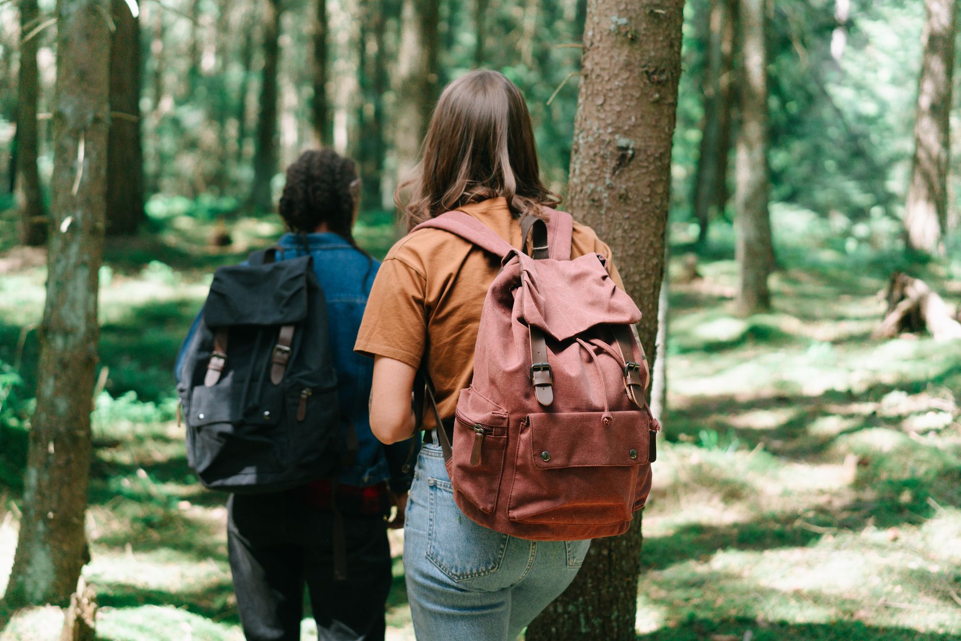 Two hikers with backpacks explore a dense forest path, surrounded by tall trees and greenery. — Budget-Friendly Last Minute S